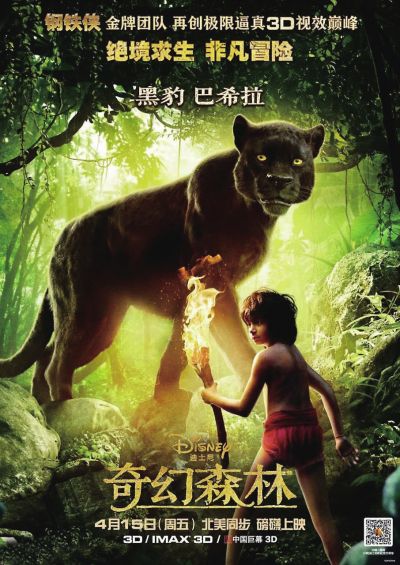 学历证书编号怎么看真假